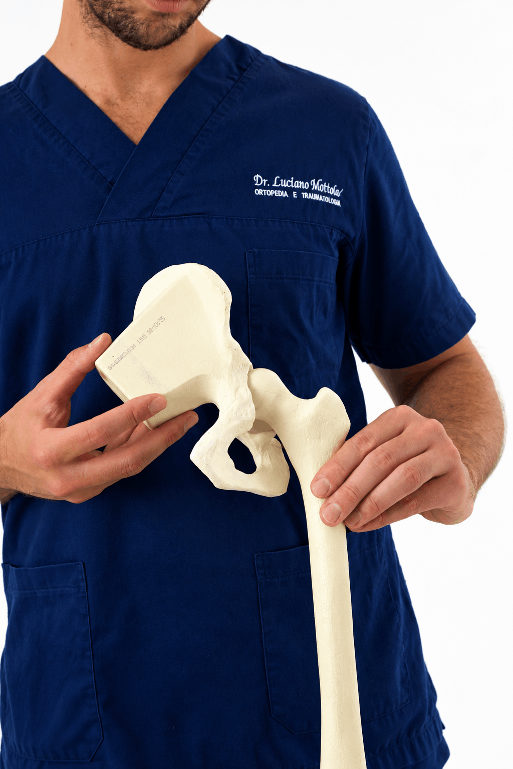 Modello anatomico di anca tenuto dal Dott. Luciano Mottola